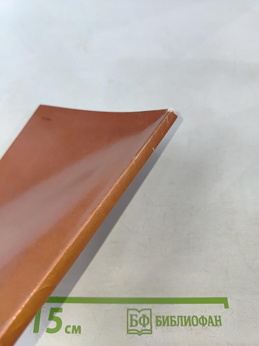 Доменико Трезини