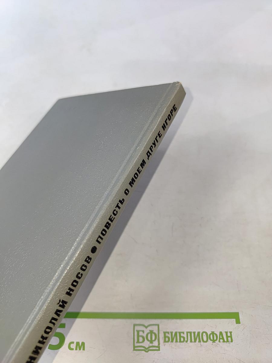 Повесть о моем друге Игоре