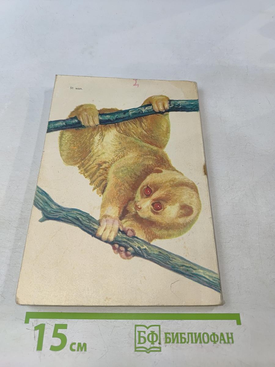 Поймайте мне колобуса