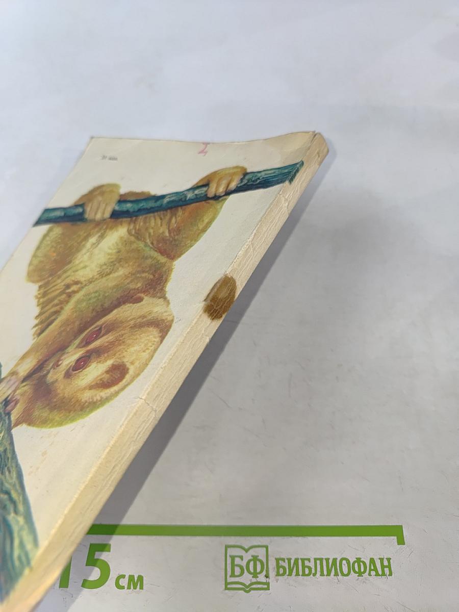 Поймайте мне колобуса