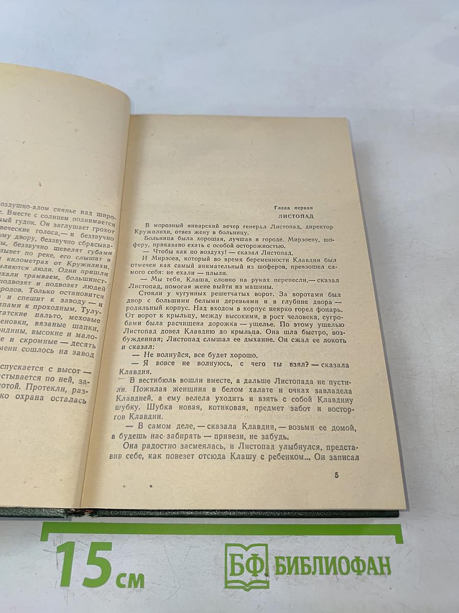 Кружилиха. Спутники