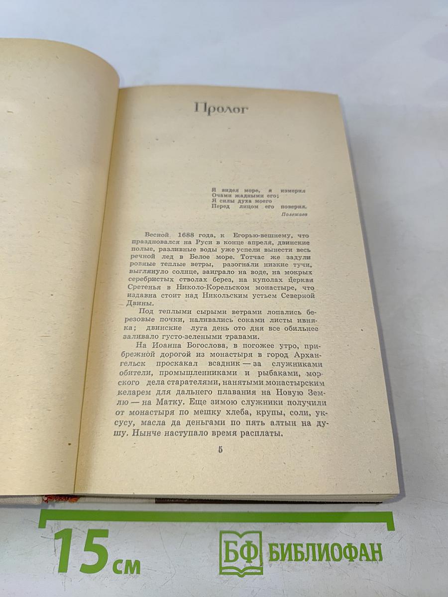 Россия молодая. Книга первая