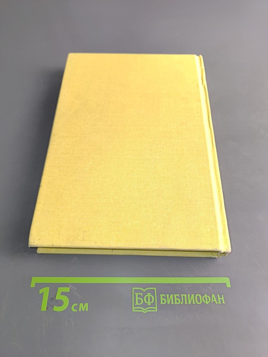 Похождения бравого солдата Швейка (II)
