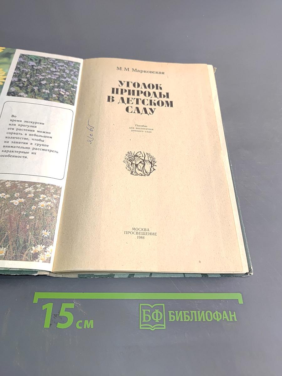 Уголок природы в детском саду
