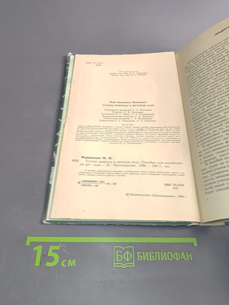 Уголок природы в детском саду