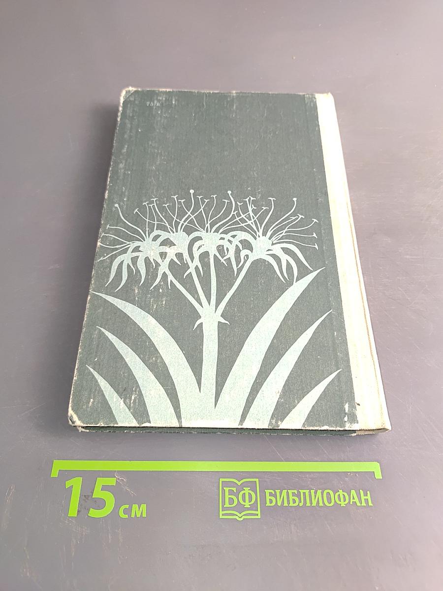 Уголок природы в детском саду