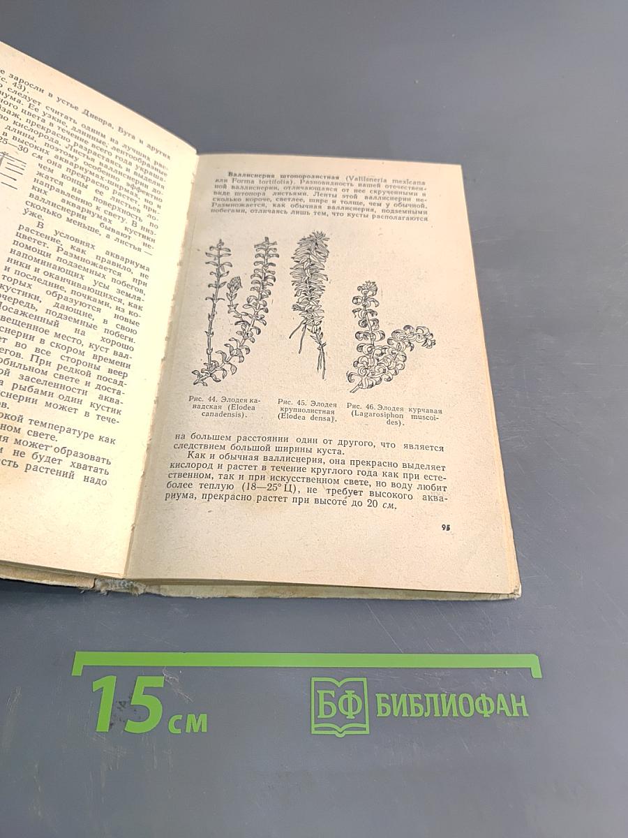 Комнатный аквариум