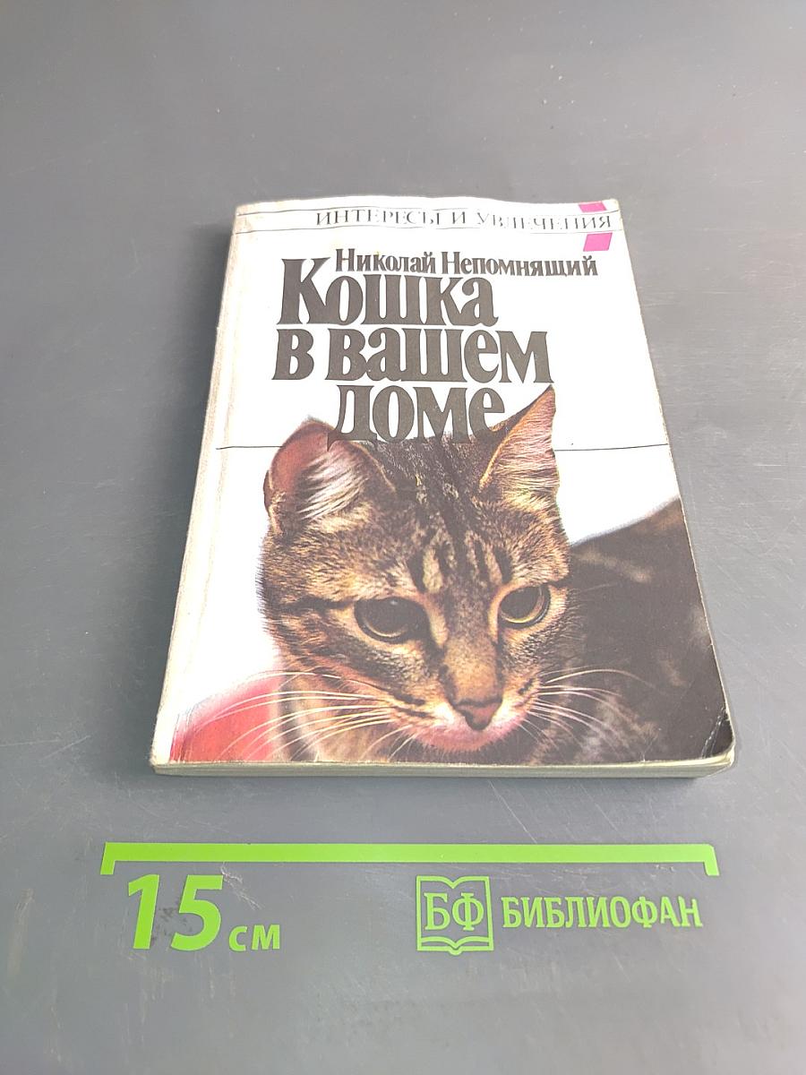 Кошка в вашем доме
