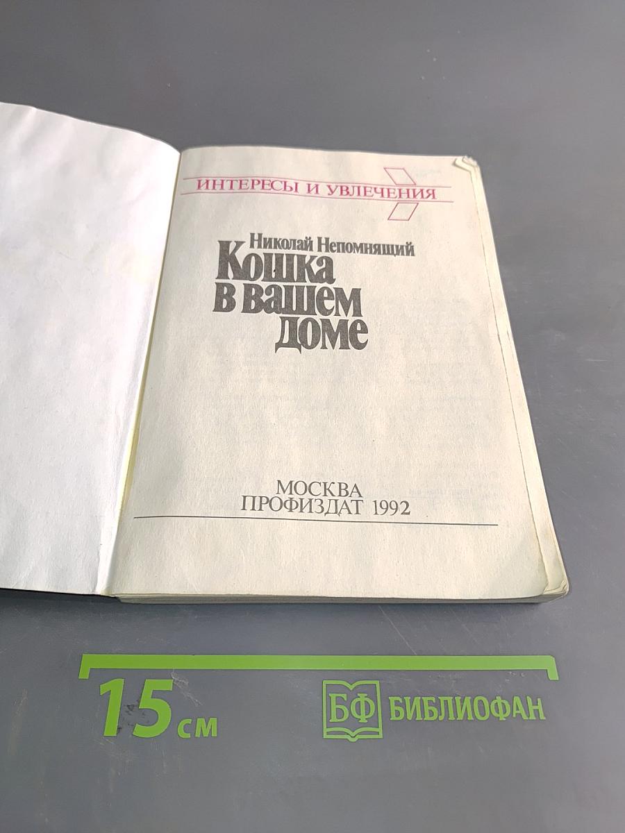 Кошка в вашем доме