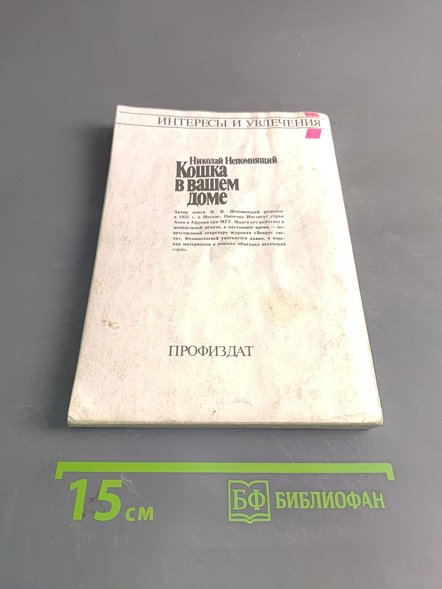 Кошка в вашем доме