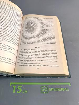 Саган. Ангел-хранитель