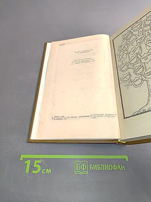 Железный король. Узница Шато-Гайара