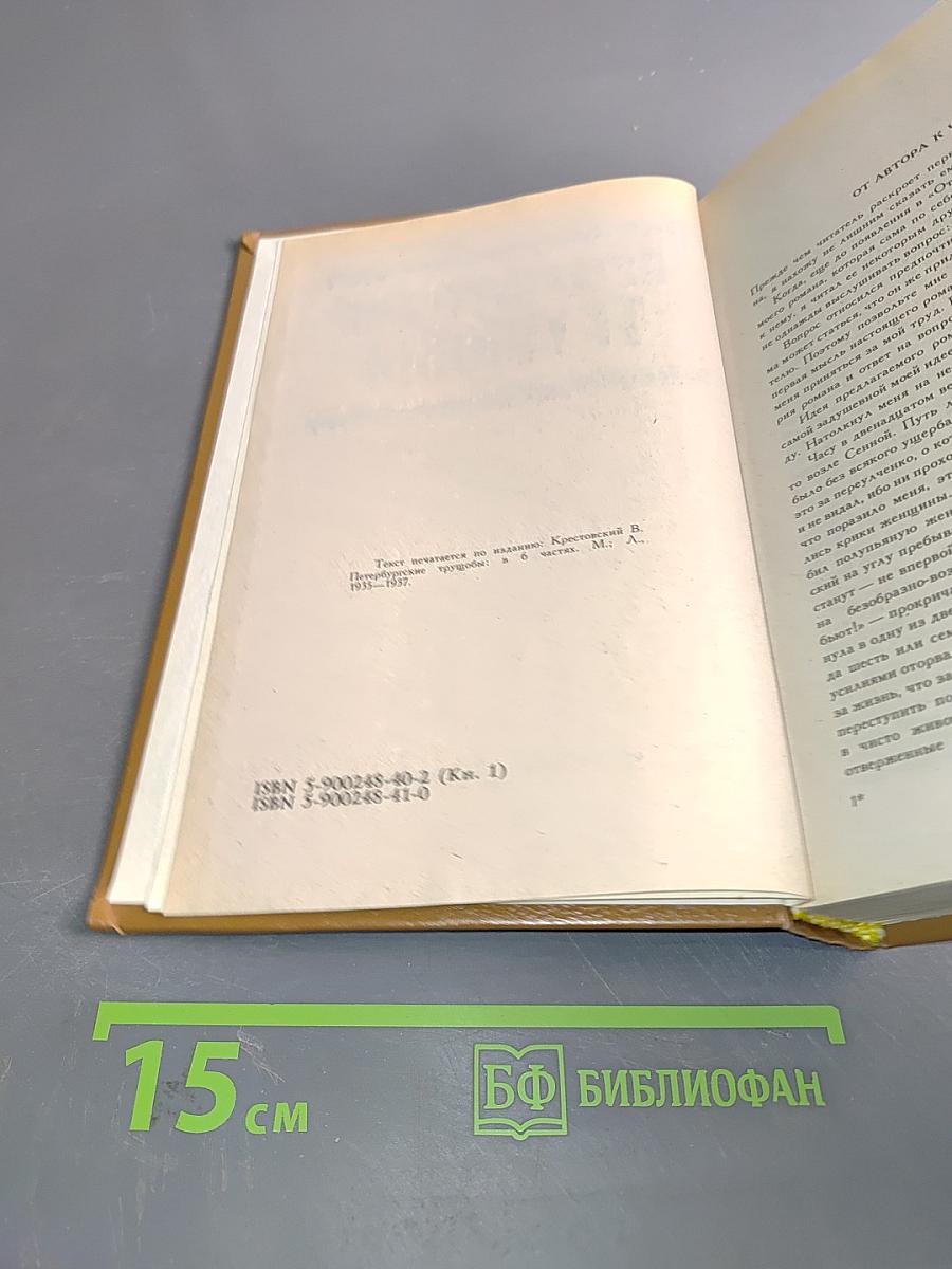 Петербургские трущобы (Книга о сытых и голодных)