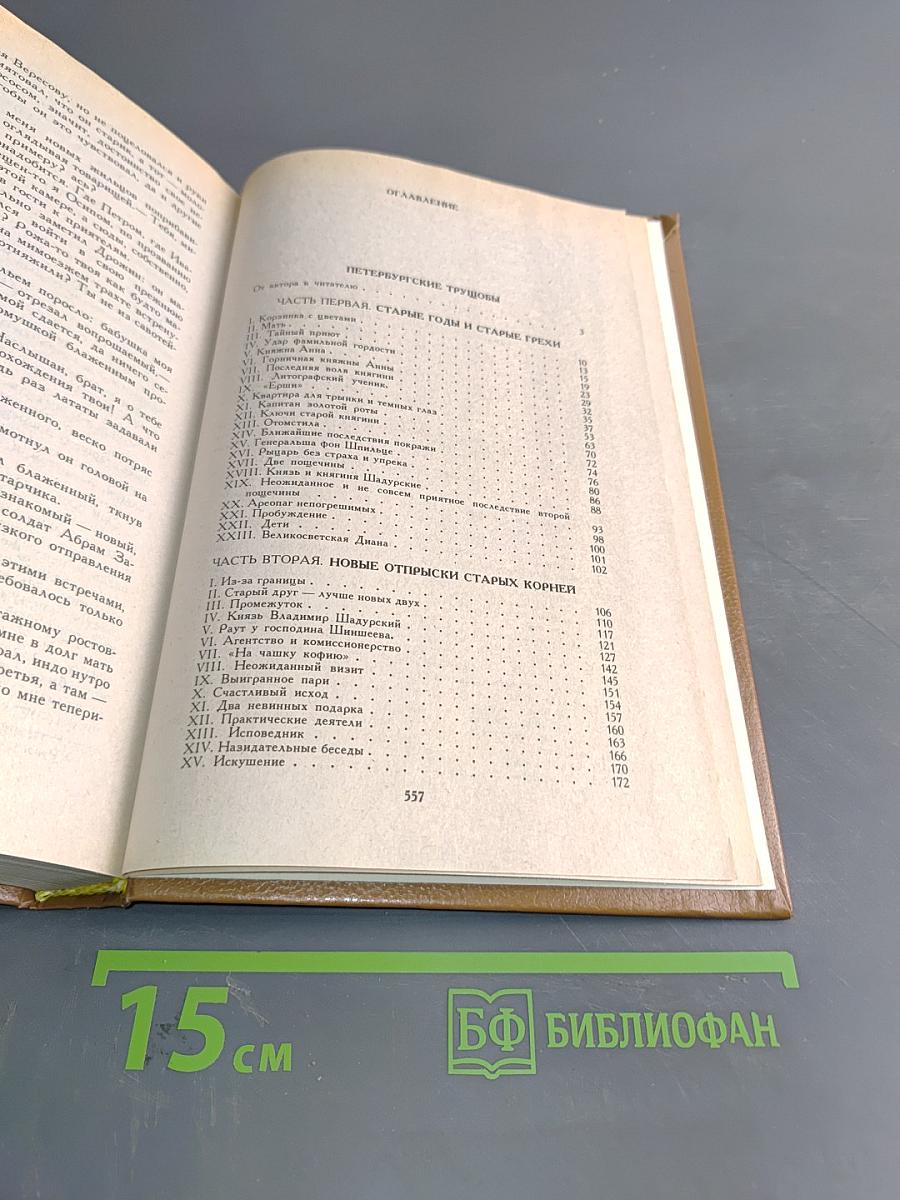 Петербургские трущобы (Книга о сытых и голодных)