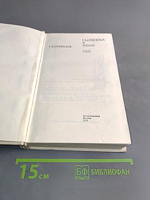 Былинка в поле