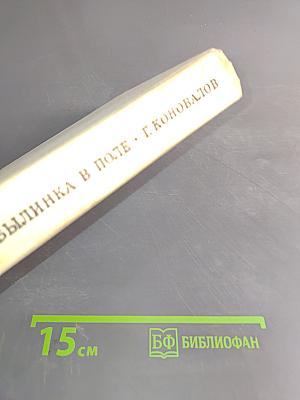Былинка в поле