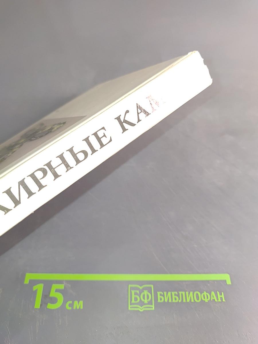 Ювелирные камни