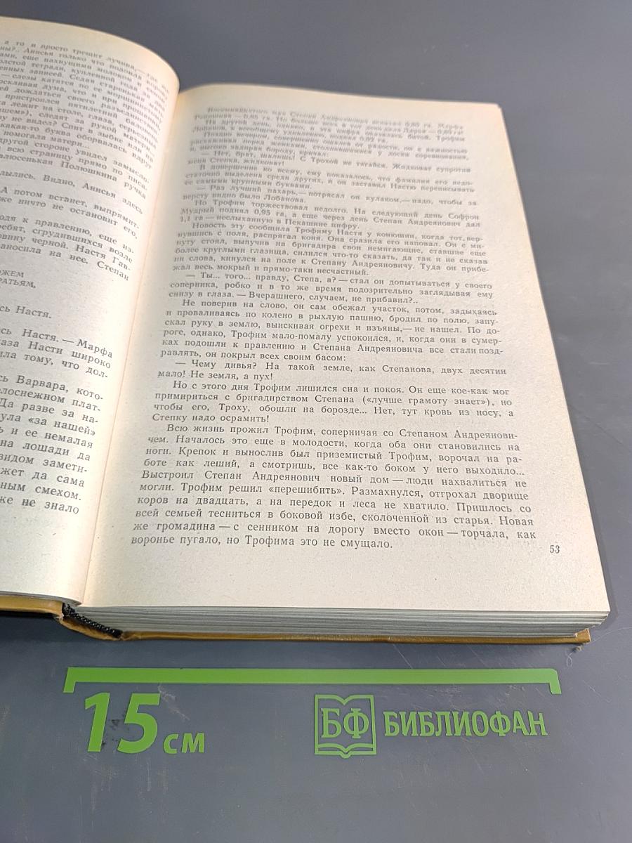 Братья и сестры. Роман в четырех книгах
