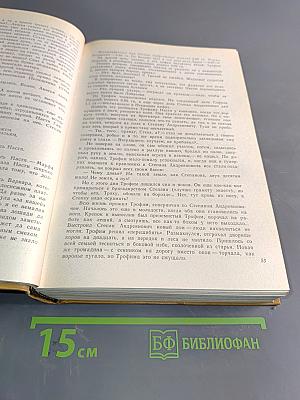 Братья и сестры. Роман в четырех книгах