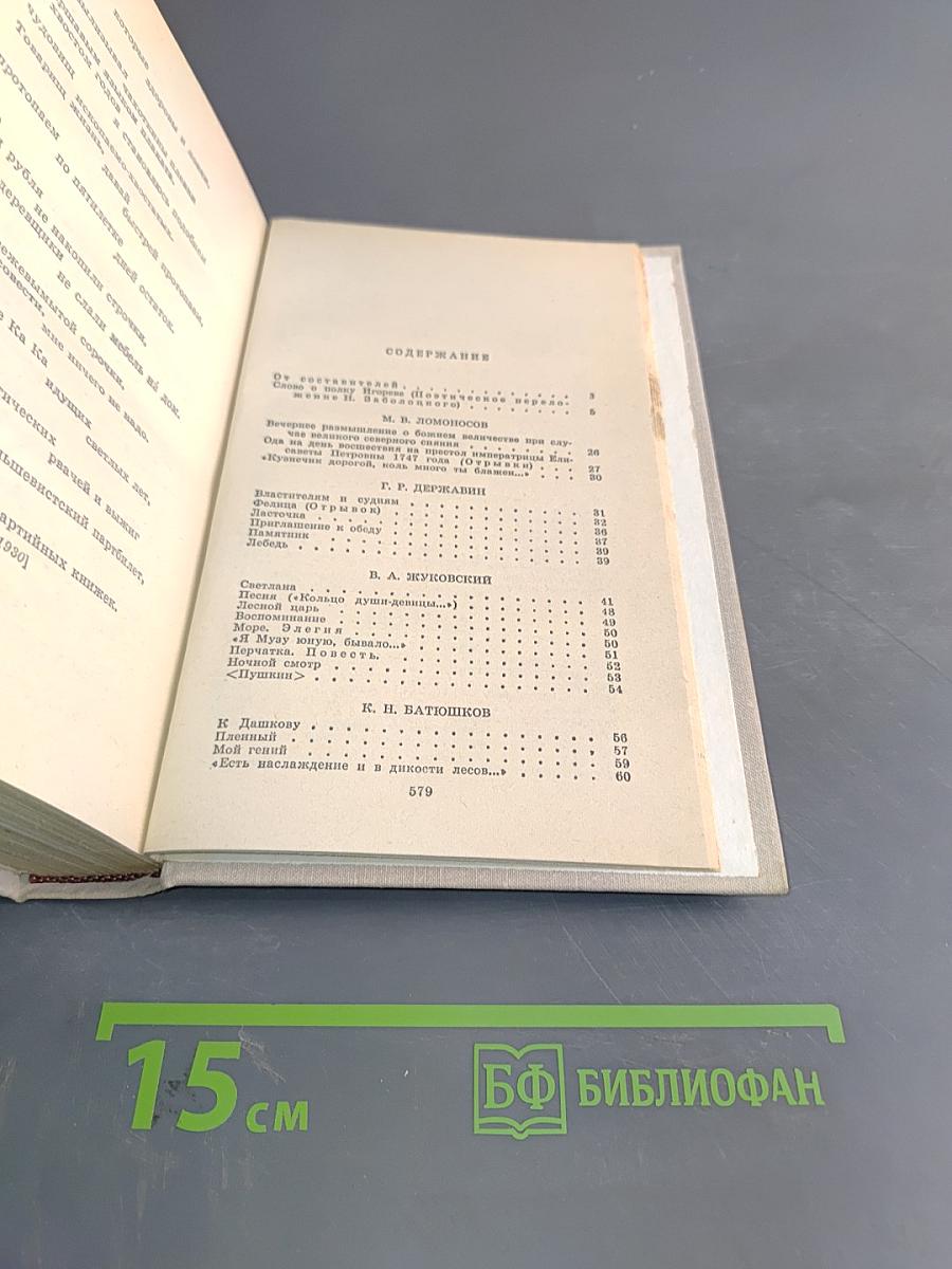 Путешествие в страну поэзия. Поэзия в школе. В двух книгах. Книга 1