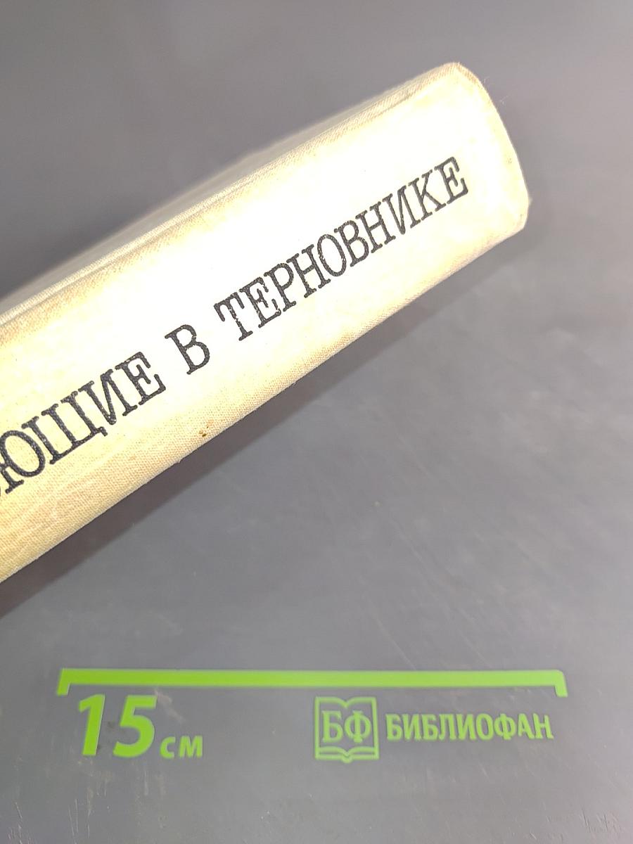 Поющие в терновнике
