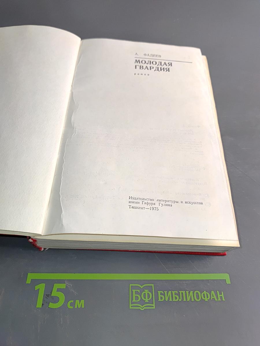 Молодая гвардия