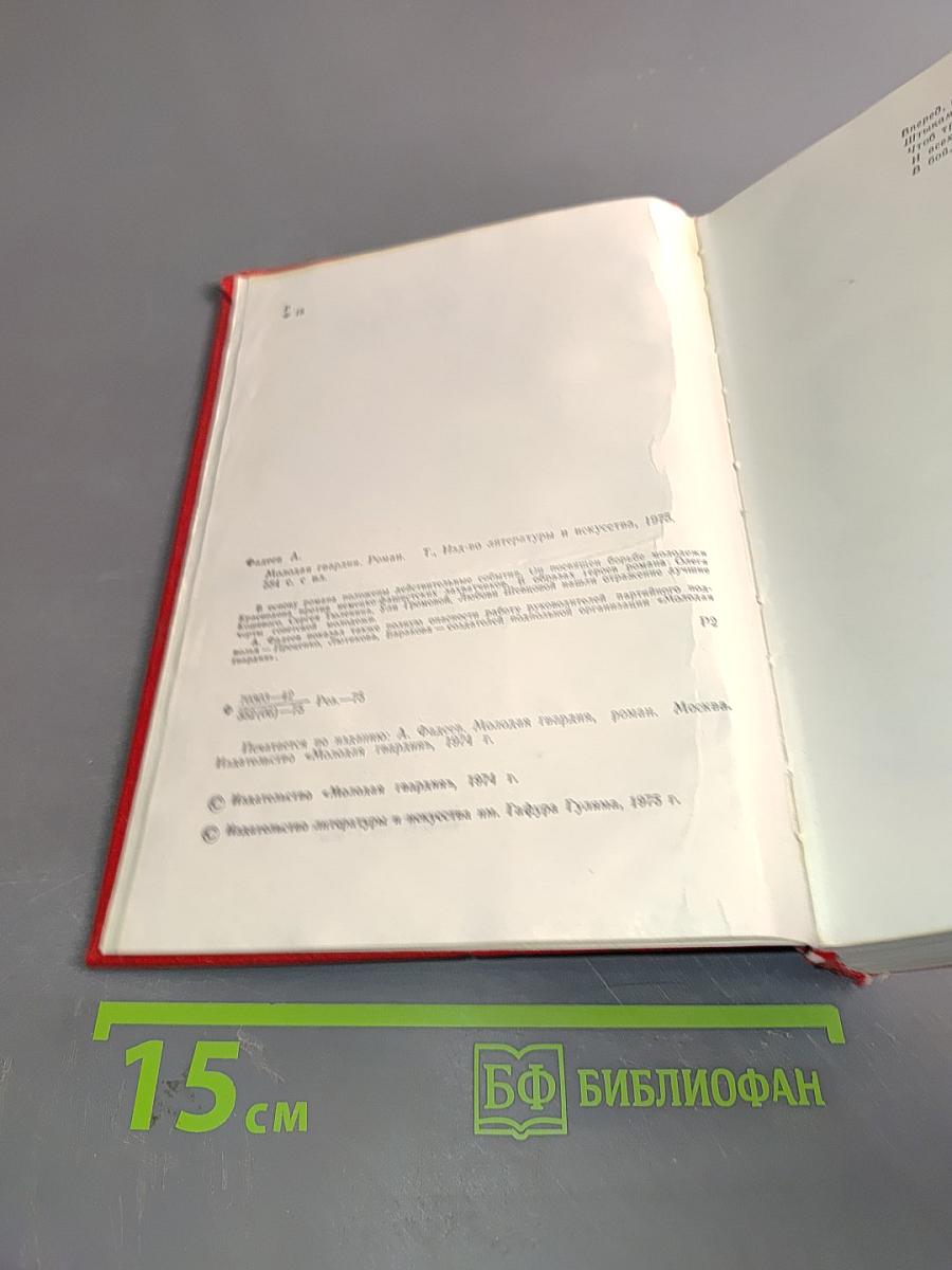Молодая гвардия