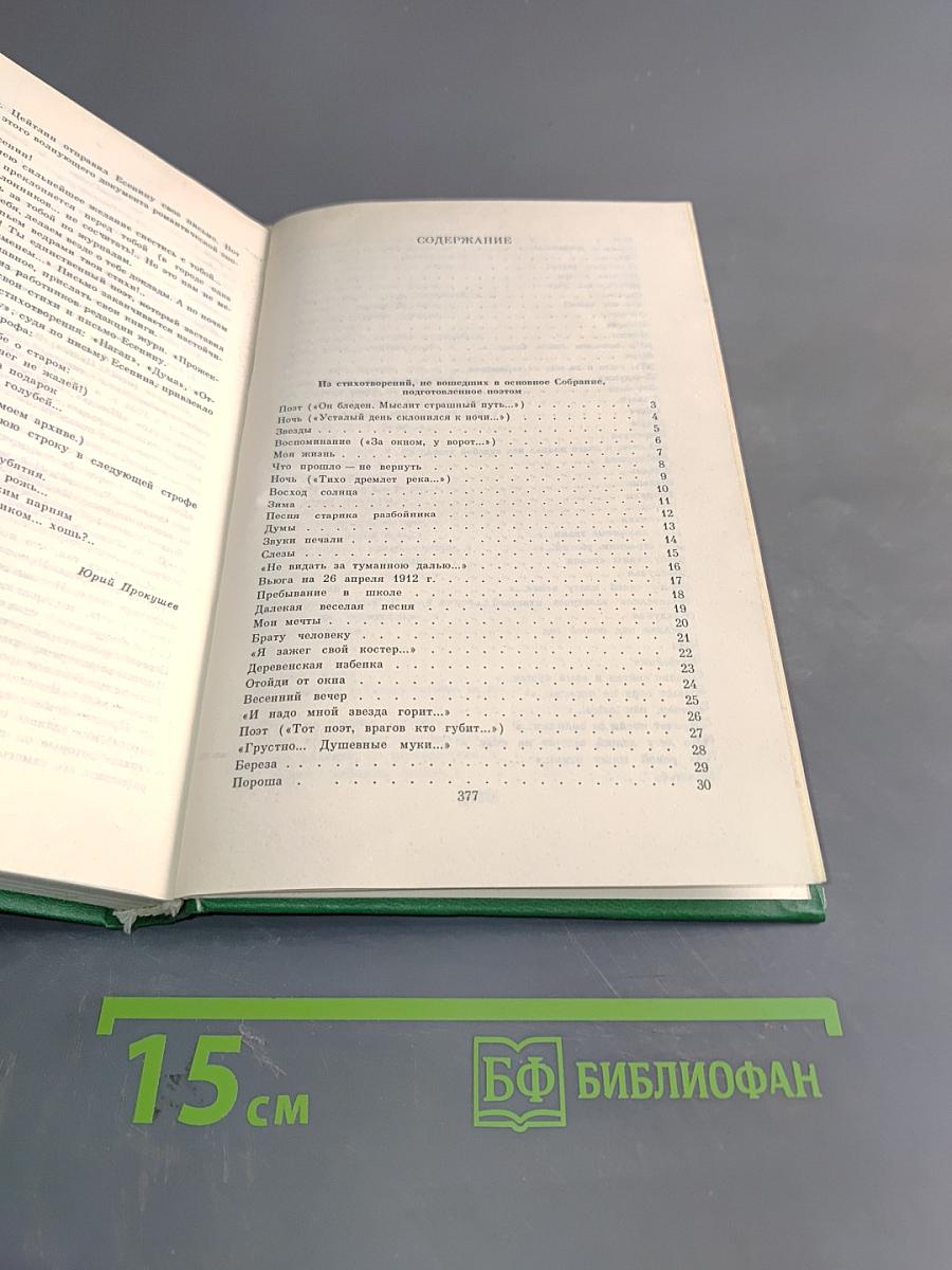 Сергей Есенин. Собрание сочинений в двух томах. Том 2. Стихотворения, поэма, статьи, письма