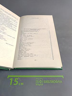 Сергей Есенин. Собрание сочинений в двух томах. Том 2. Стихотворения, поэма, статьи, письма