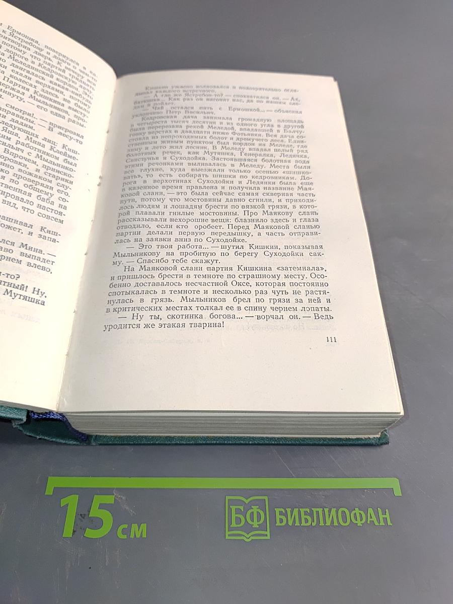 Золото. Повести, рассказы. Сказки. Том шестой