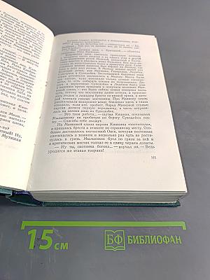 Золото. Повести, рассказы. Сказки. Том шестой