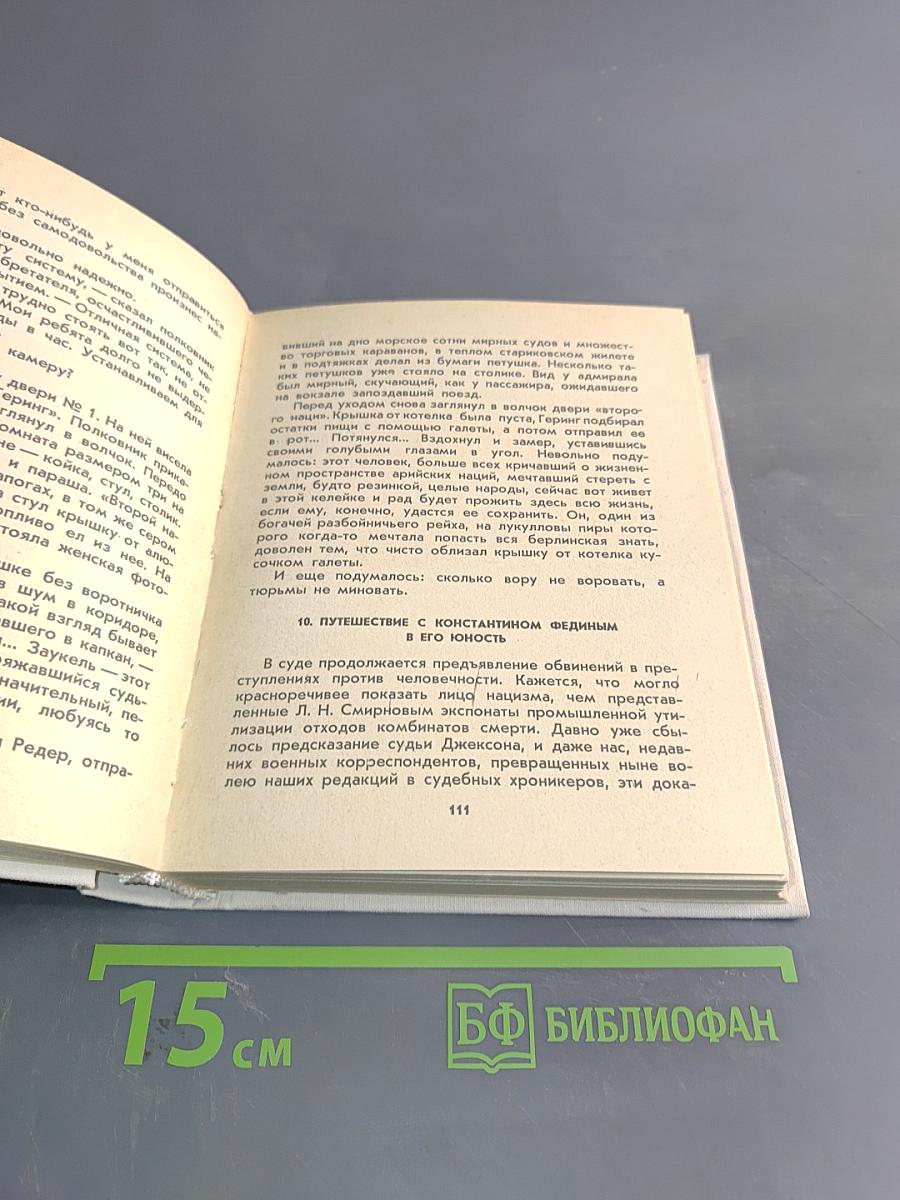 В конце концов. Нюрнбергские дневники