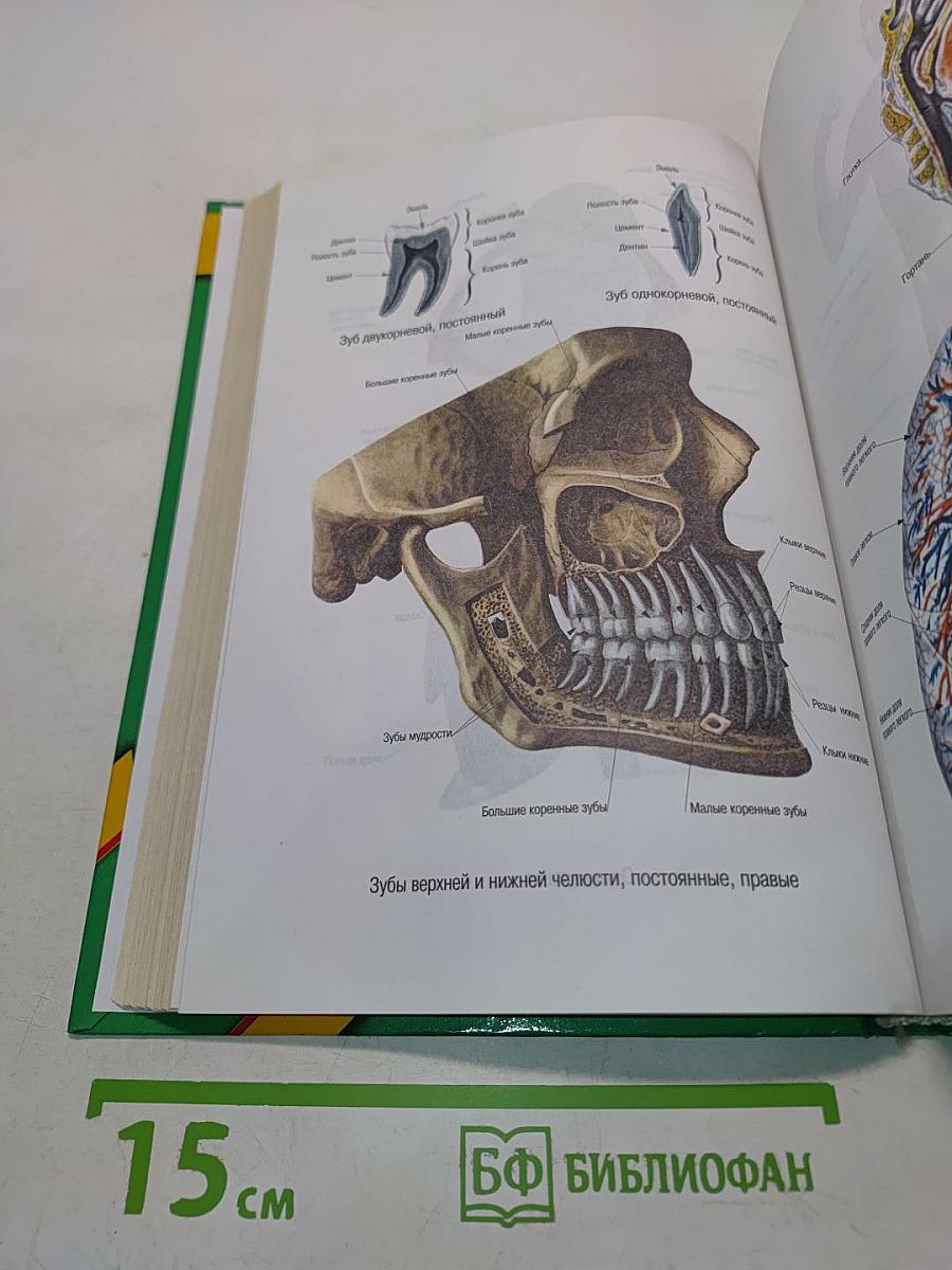 Энциклопедия народной медицины