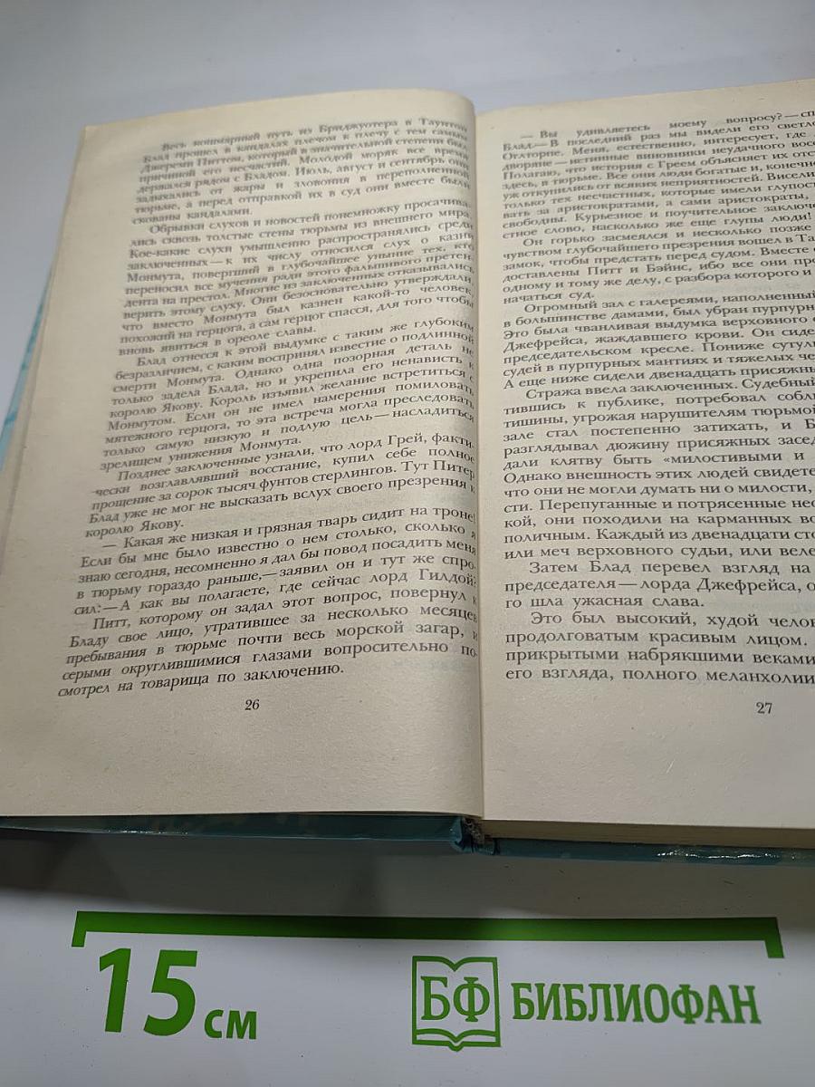 Одиссея капитана Блада. Хроника капитана Блада
