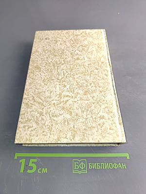 К последнему морю. Юность полководца