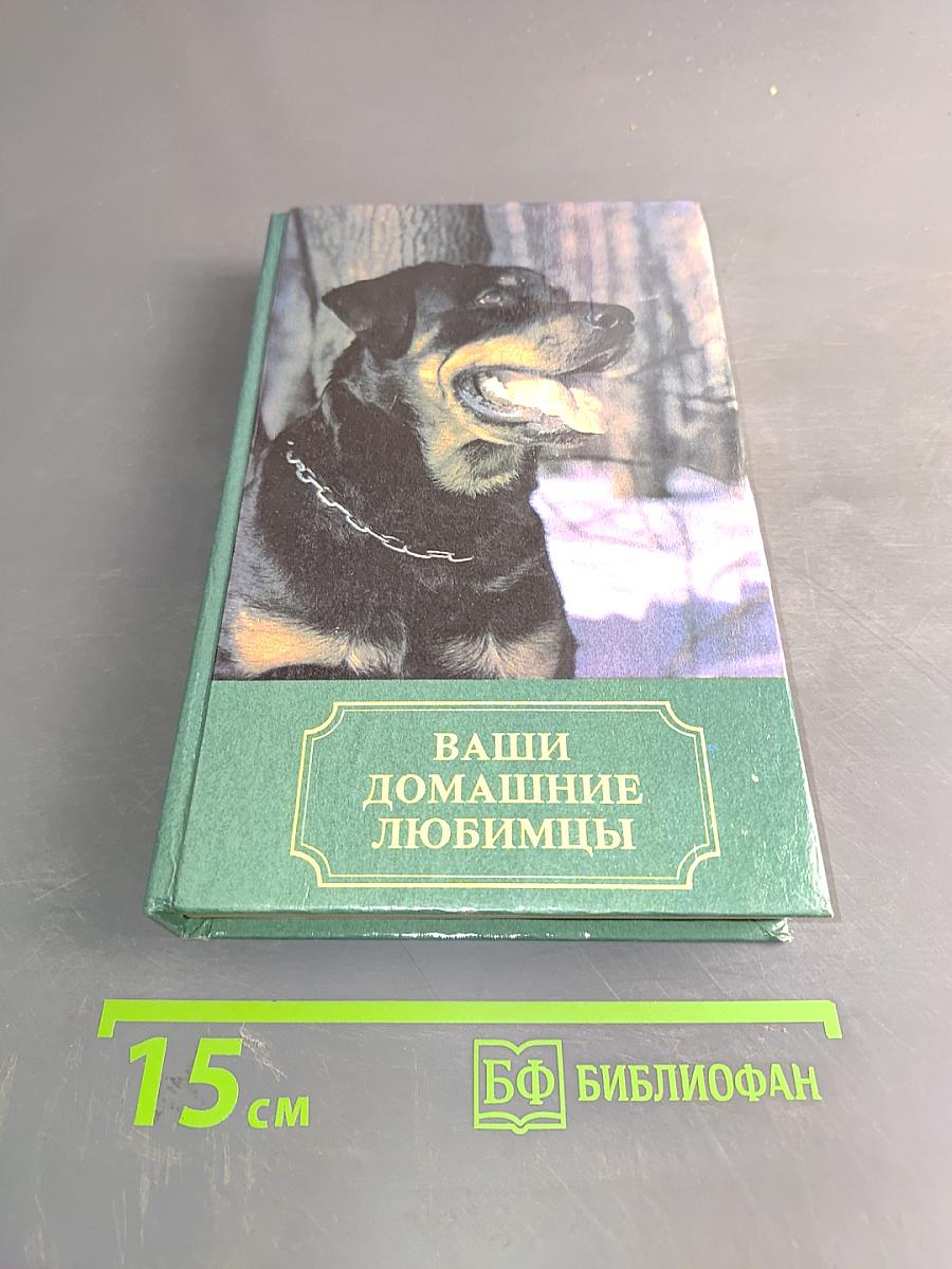 Ваши домашние любимцы