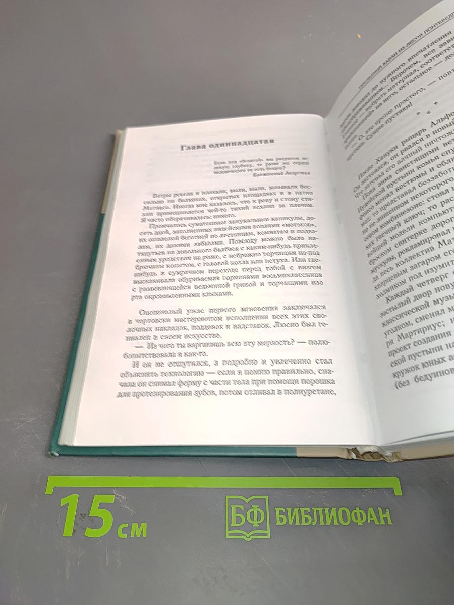 Последний кабан из лесов Понтеведра