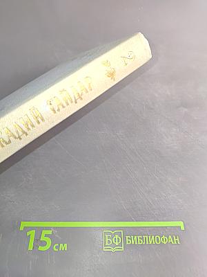 Собрание сочинений. Том второй