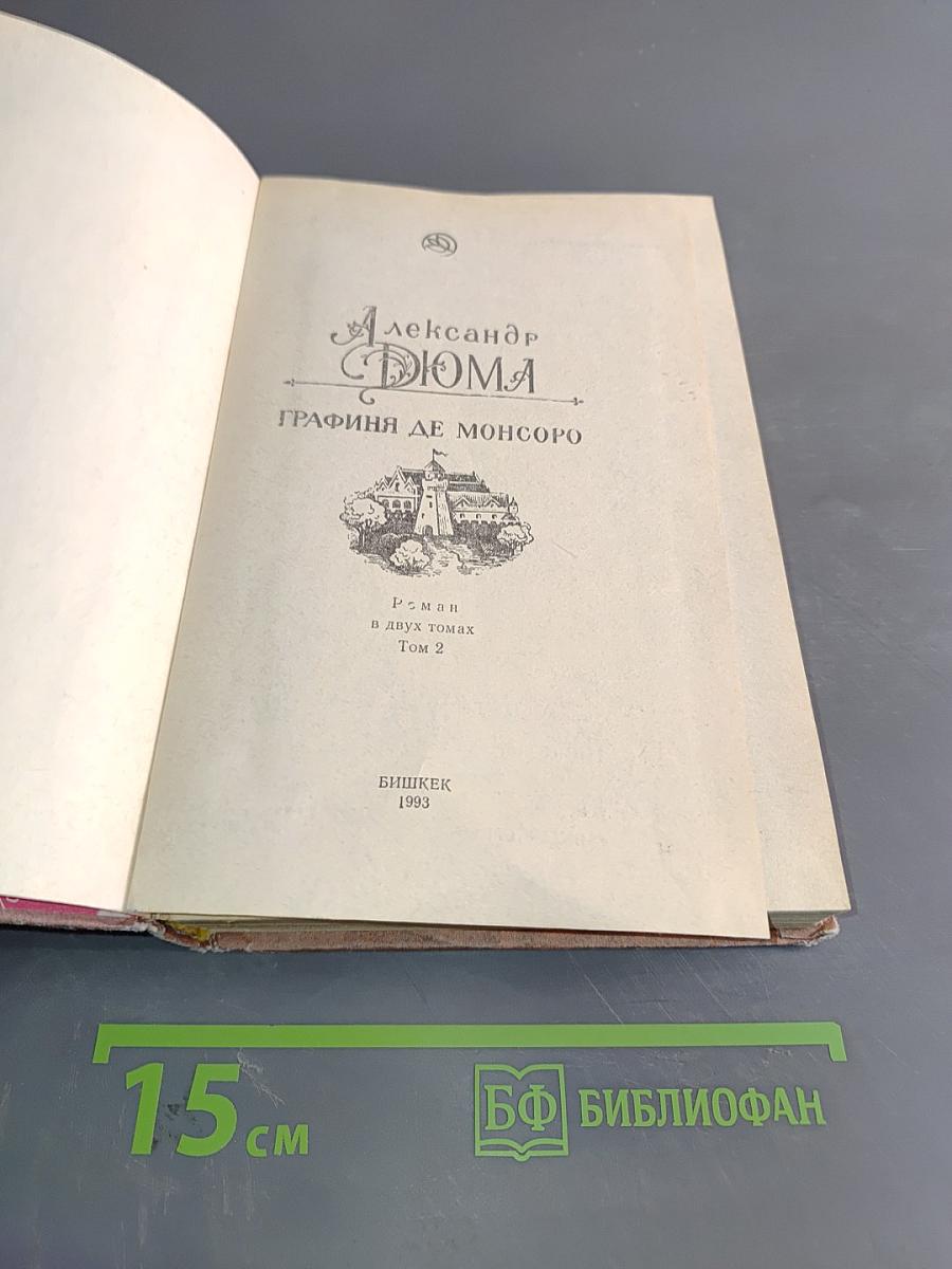 Графиня де Монсоро. Том 2