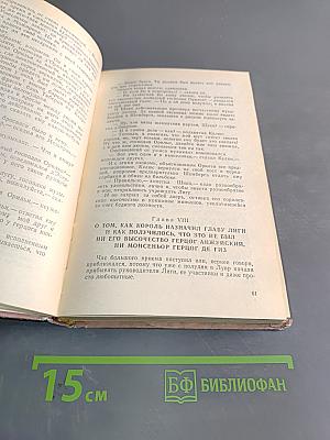 Графиня де Монсоро. Том 2