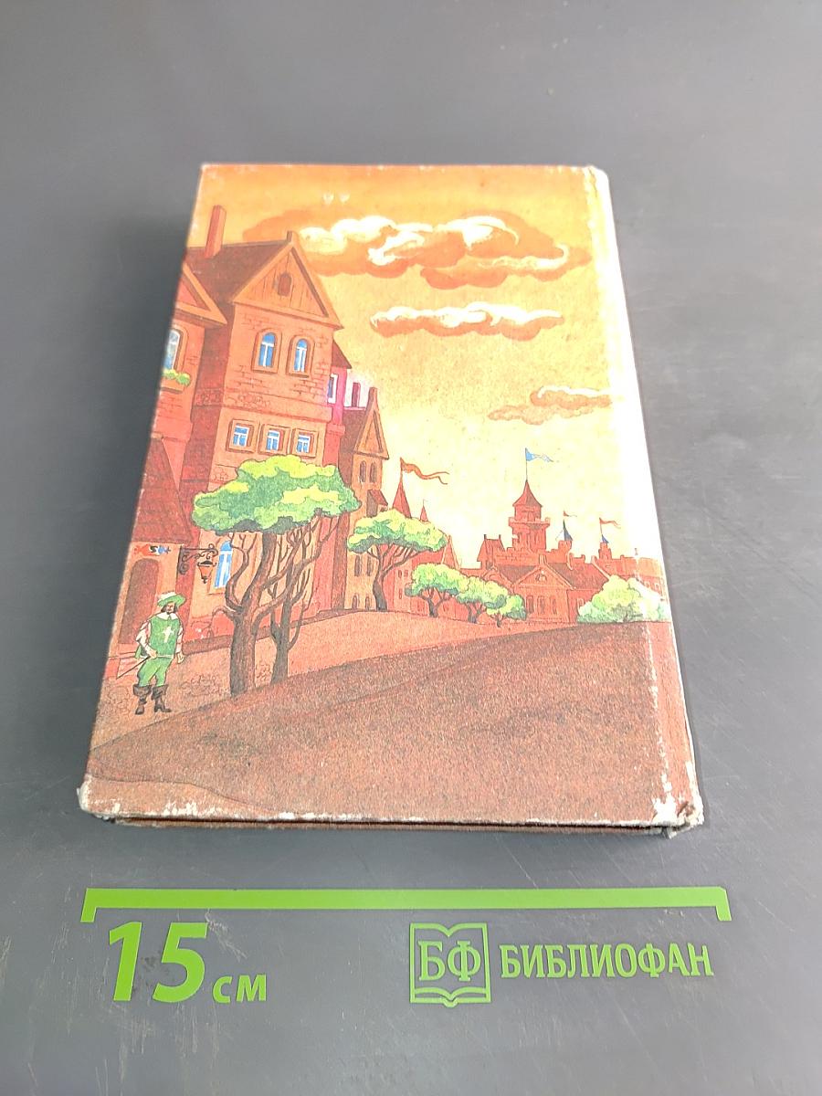 Графиня де Монсоро. Том 2