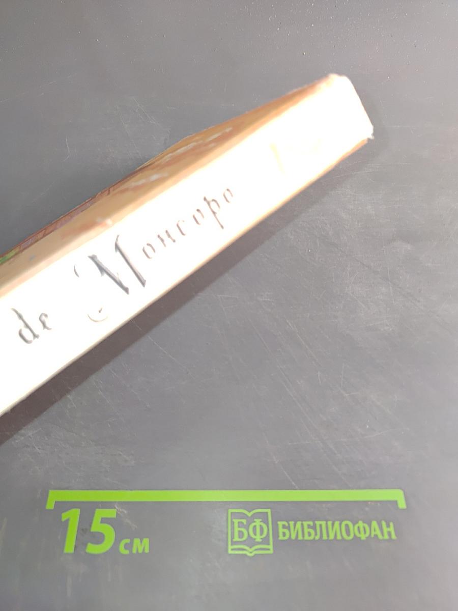 Графиня де Монсоро. Том 2