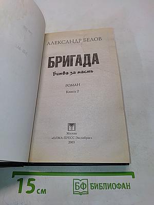 Бригада. Битва за масть. Книга 2