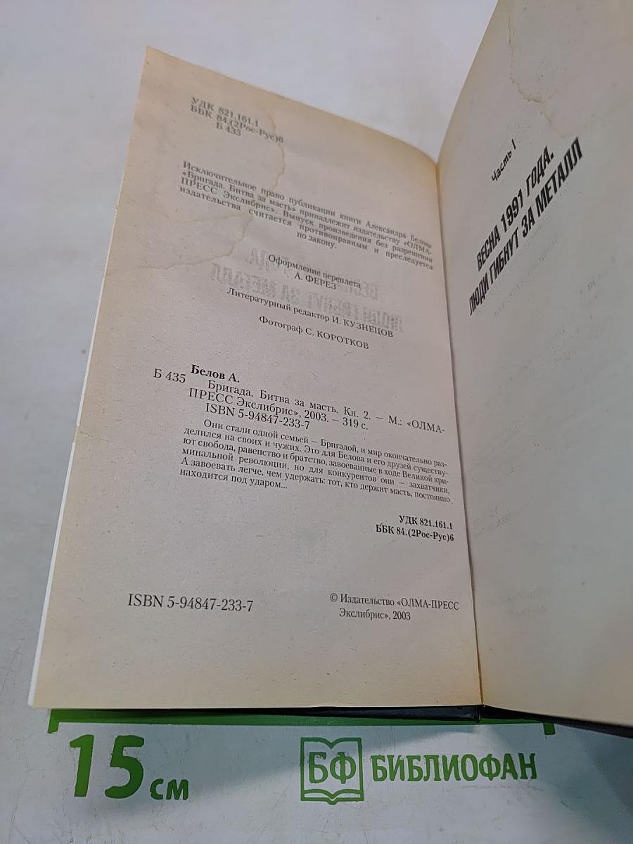 Бригада. Битва за масть. Книга 2