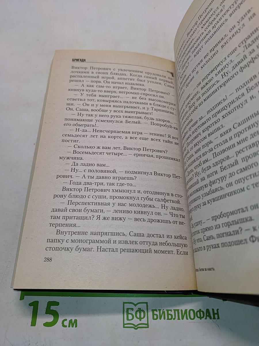 Бригада. Битва за масть. Книга 2