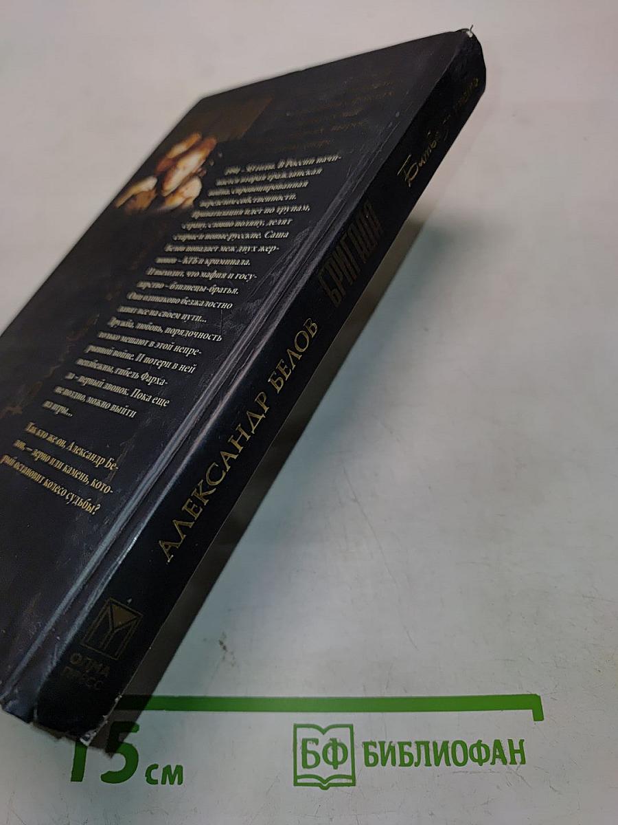 Бригада. Битва за масть. Книга 2