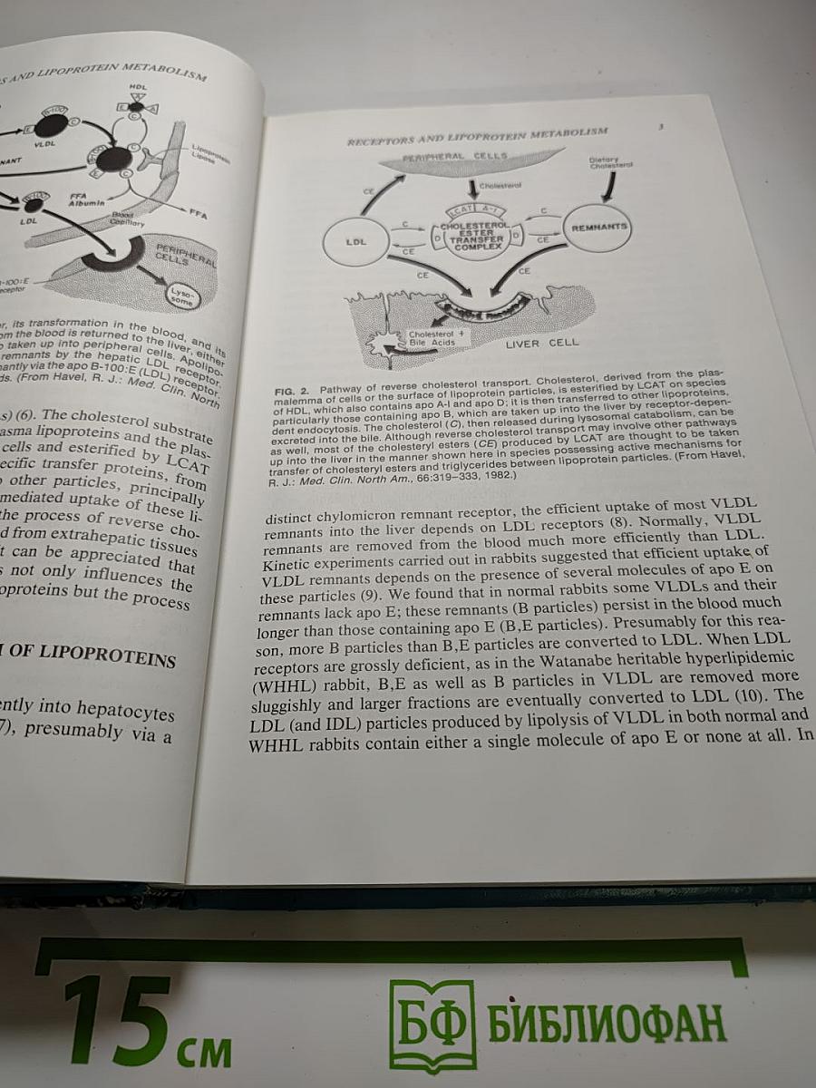 Atherosclerosis Reviews Volume 17: Lipoproteins and Atherosclerosis