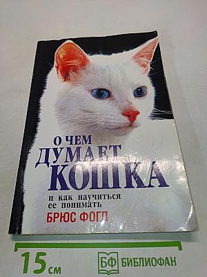 О чем думает кошка и как научиться ее понимать