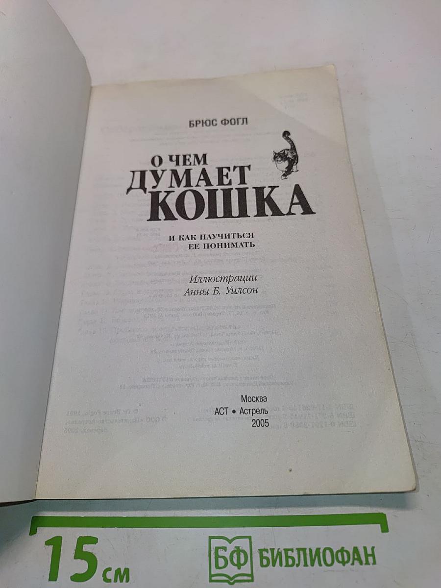 О чем думает кошка и как научиться ее понимать