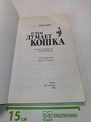О чем думает кошка и как научиться ее понимать